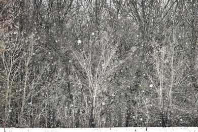 Winter nature of Khortytsia