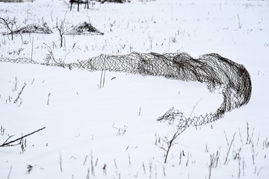 Winter nature of Khortytsia