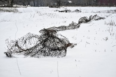 Winter nature of Khortytsia