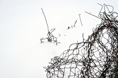 Winter nature of Khortytsia