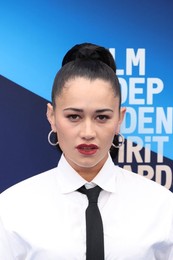 41st Annual Film Independent Spirit Awards 2026