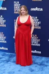 41st Annual Film Independent Spirit Awards 2026