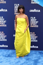 41st Annual Film Independent Spirit Awards 2026
