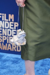 41st Annual Film Independent Spirit Awards 2026