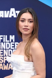 41st Annual Film Independent Spirit Awards 2026