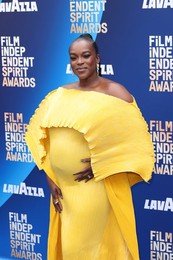 41st Annual Film Independent Spirit Awards 2026