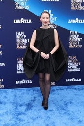41st Annual Film Independent Spirit Awards 2026