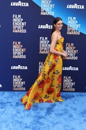 41st Annual Film Independent Spirit Awards 2026