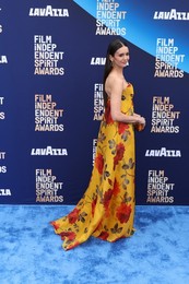 41st Annual Film Independent Spirit Awards 2026