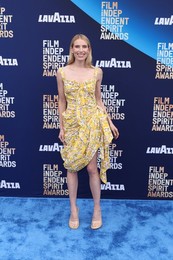 41st Annual Film Independent Spirit Awards 2026