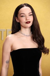 32nd Annual Actor Awards