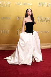32nd Annual Actor Awards
