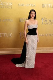 32nd Annual Actor Awards