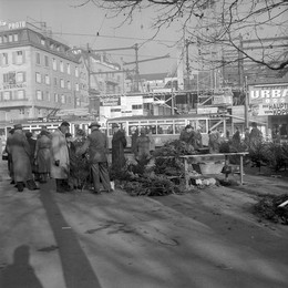 Christmas tree market in Zurich 1956