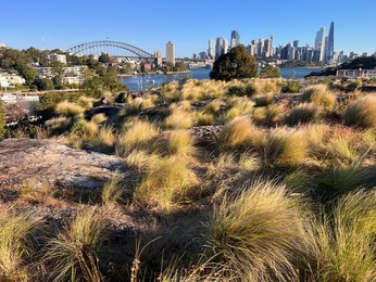 Aerial landscape view of Sydney downtown skyline and Sydney Harbour Bridge