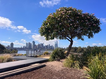 Aerial landscape view of Sydney downtown skyline