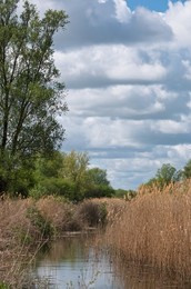 Wicken lode at Wicken fen, Wicken near Ely, Cambridgeshire, UK.