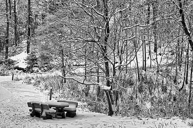 Image 1111918997