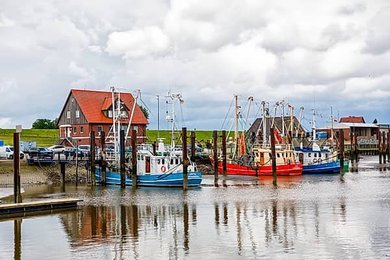 Image 1111919462