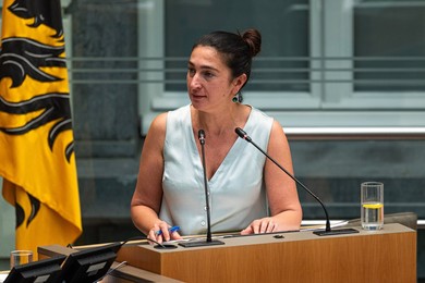 POLITICS PLENARY SESSION FLEMISH PARLIAMENT