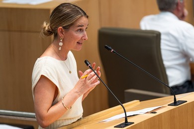 POLITICS PLENARY SESSION FLEMISH PARLIAMENT
