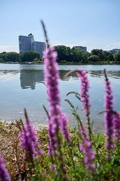 Image 1119201994
