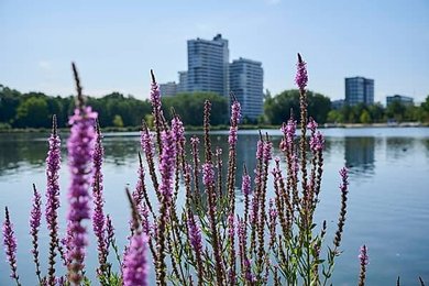 Image 1119201997