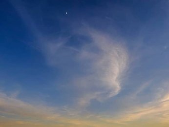 Image 1119202540