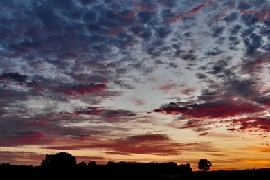 Pretty dawn skies