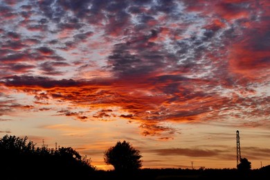 Pretty dawn skies