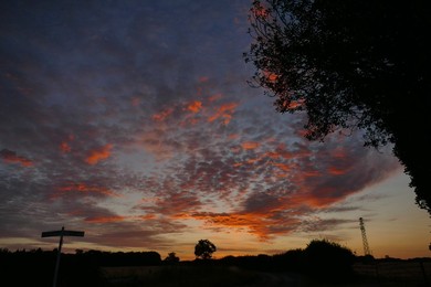 Pretty dawn skies