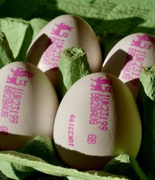 British Lion stamped eggs feature a red lion quality mark this guarantees the eggs are from British hens vaccinated against salmonella