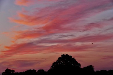 Dawn Skies