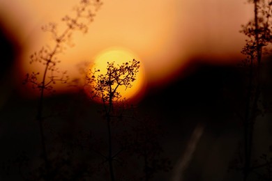 Seasonal weather, sunrise