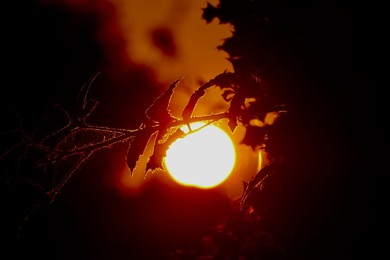 Seasonal weather, sunrise