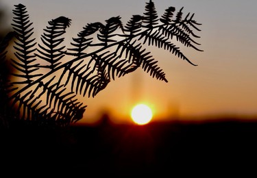 Seasonal weather, sunrise