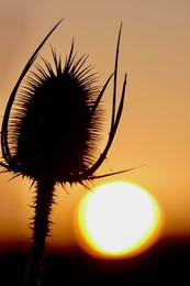 Seasonal weather, sunrise