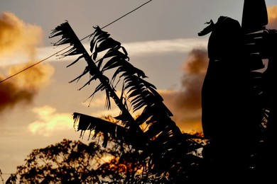 Dramatic dusk skies