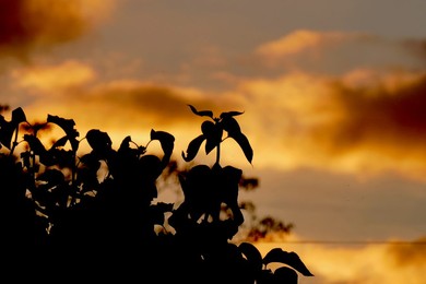 Dramatic dusk skies