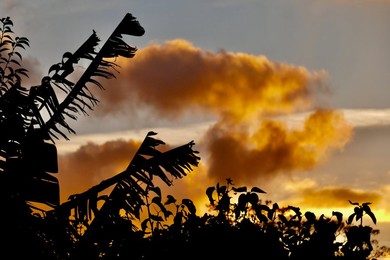 Dramatic dusk skies