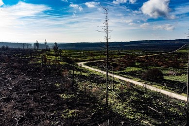 DISASTER FIRE HAUTES FAGNES START RECONSTRUCTION