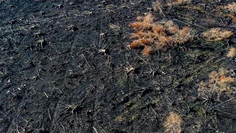 DISASTER FIRE HAUTES FAGNES START RECONSTRUCTION