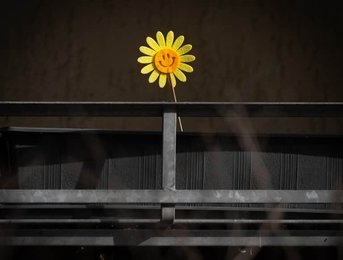 Smiling felt sunflower on dark balcony
