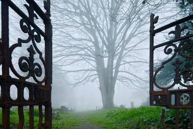 Cemetery gate