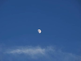 Image 1146055996