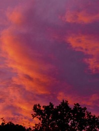 Colourful dawn skies