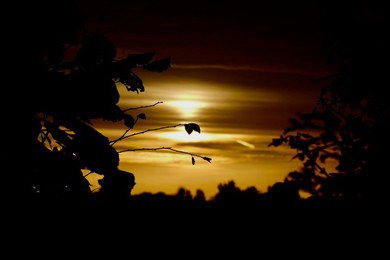 Seasonal weather, sunrise