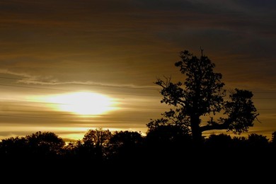 Seasonal weather, sunrise