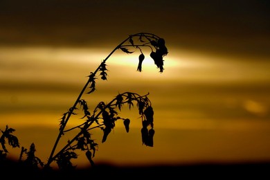 Seasonal weather, sunrise
