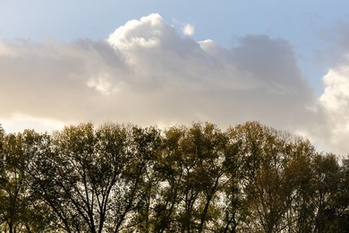 ILLUSTRATION SETTING SUN BELGIUM